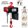 Elektro-Kettenzug Typ DEH, 400 Volt, Tragkraft 125kg